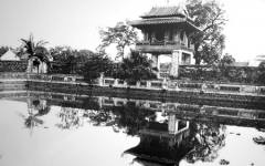 Museum & History
