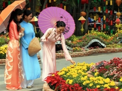 Hanoi Culture