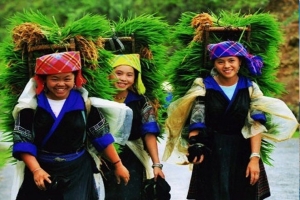 Explore North West of Vietnam (08 Days 07 Nights) - Private Tour