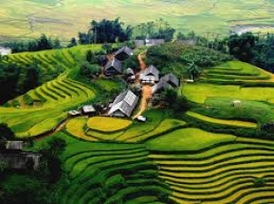 Package V: Hanoi – Halong bay – Sapa – Hanoi ( 6Days 5Nights )