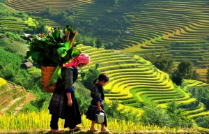 SAPA 3N2D BY TRAIN (EASY TREKKING)