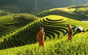 SAPA 4N3D BY TRAIN
