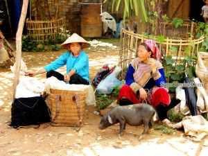 Lao cai - Bac Ha - Coc Ly Homestay 3Days